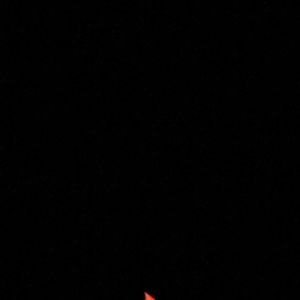 Meet your Posher, Reagan